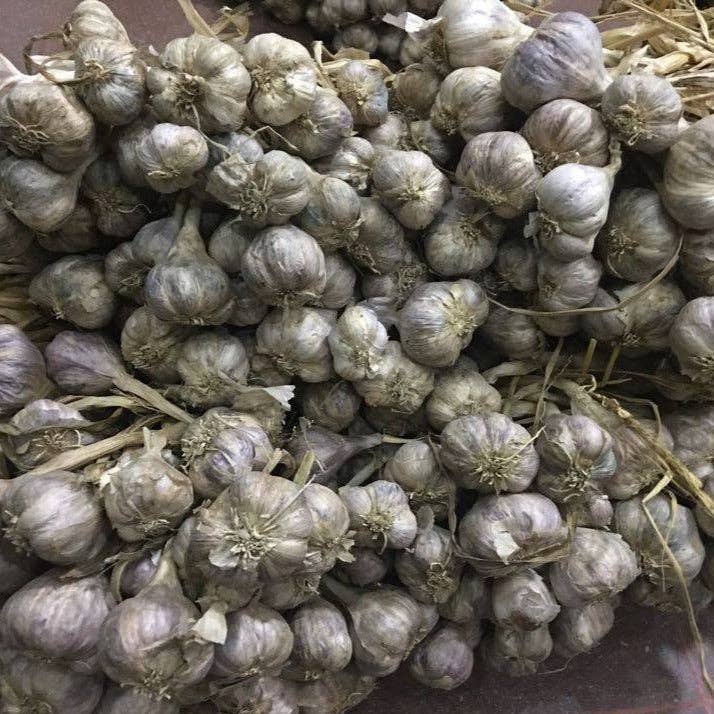 Burlap & Barrel - Purple Stripe Garlic - Single Origin Spice & Seasoning: 3.0 oz glass jar